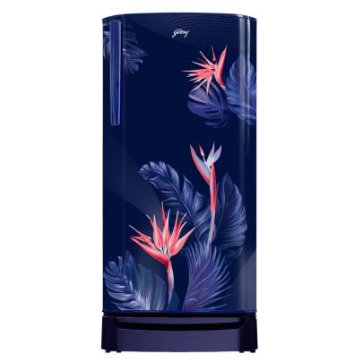 Godrej 180 L 3 Star Farm Fresh Crisper Technology With Jumbo Vegetable Tray Direct Cool Single Door Refrigerator(2023 Model, RD R190C THF FR BL, Flora
