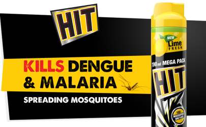 HIT MOSQUITOES AND FLIES KILLS SPRAY 400ML