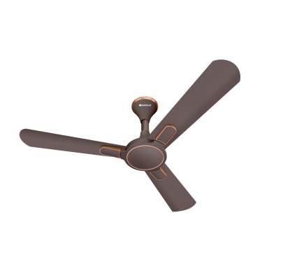 Havells BIANCA ES 1200 mm sweep (Espresso Brown)   
