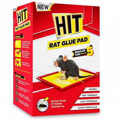 GODREJ HIT RAT GLUE PAD 25G
