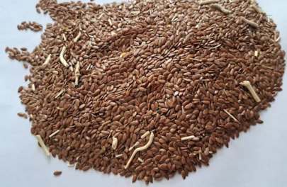 Kachi Alsi Loose , 1 kg