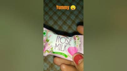 Lavian  milk  Milk Truffles,520g