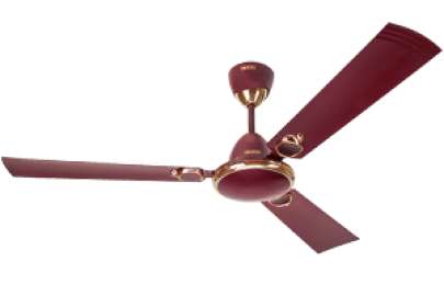 Usha Ceiling Fan Allure Deluxe 900 Mm  