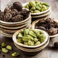 Cardamom