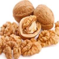 Walnut 