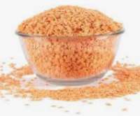 masoor dal