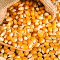 corn